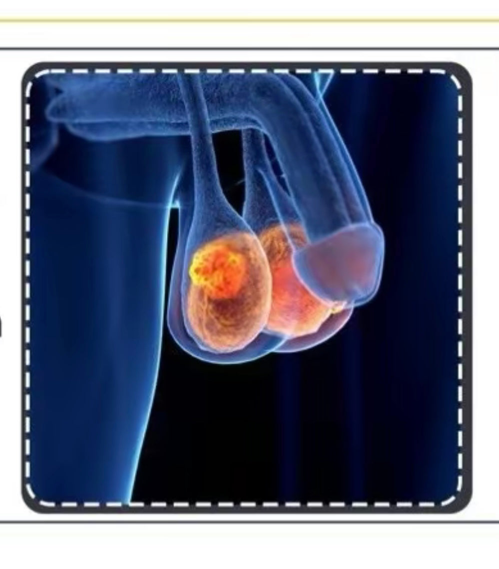 1 oz JOLI BWA Lwi Koulev